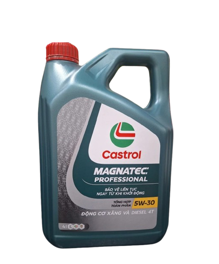 CASTROL PROFESSIONAL A5