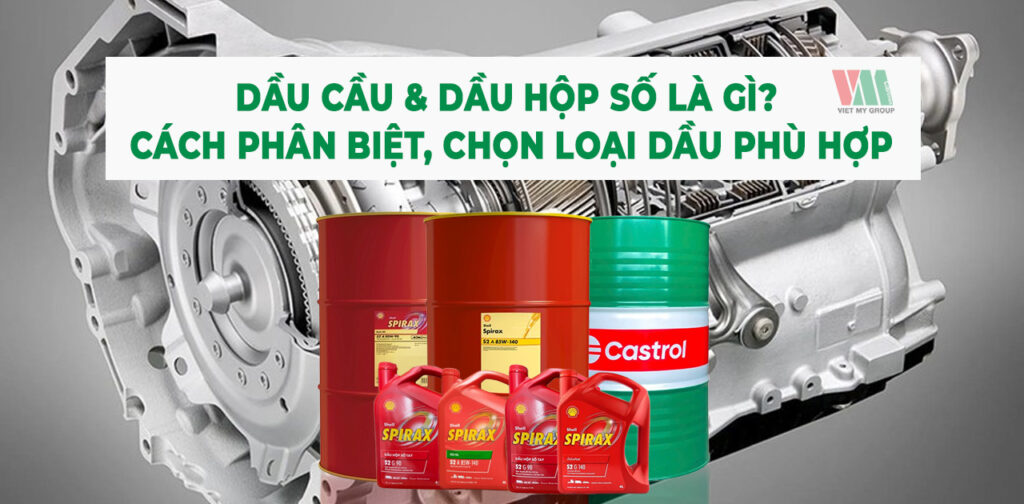 dau-cau-va-dau-hop-so-la-gi