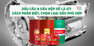 dau-cau-va-dau-hop-so-la-gi